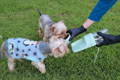 Sip & Snack Travel Bottle